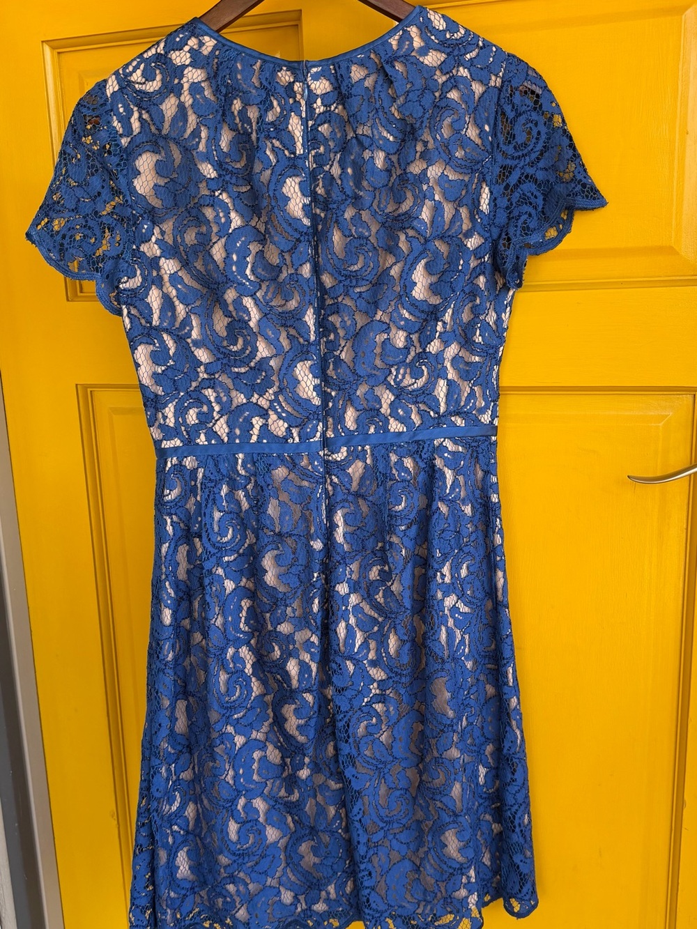 Adrianna Papell Blue Floral Lace Fit & Flare Lined Zip Round Neck Size small - Picture 6 of 13